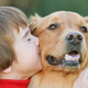 Illustration for article titled Playing With A Furry Pet Reduces Kids Allergy Risk